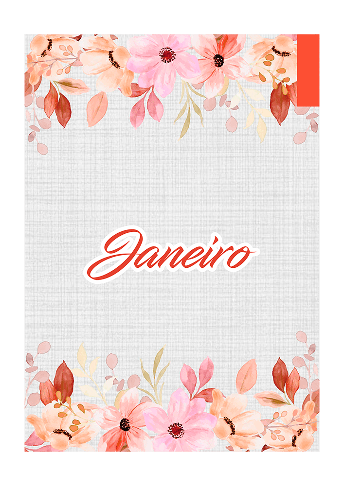 Planner 2027 - com abas-17