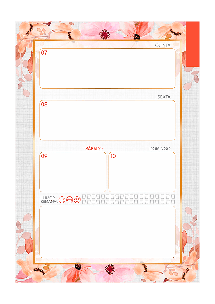 Planner 2027 - com abas-25